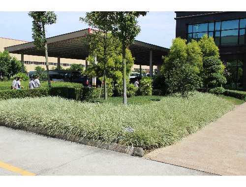 盐城市富霞绿化工程有限公司