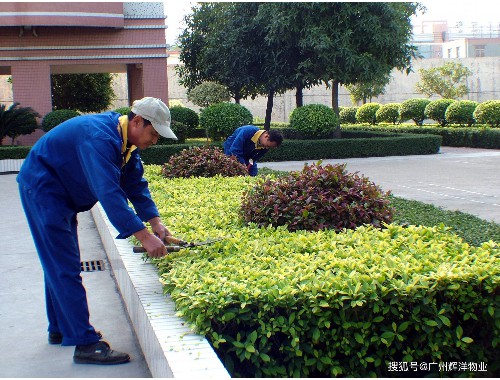 临湘城市绿化补偿费收费标准文件